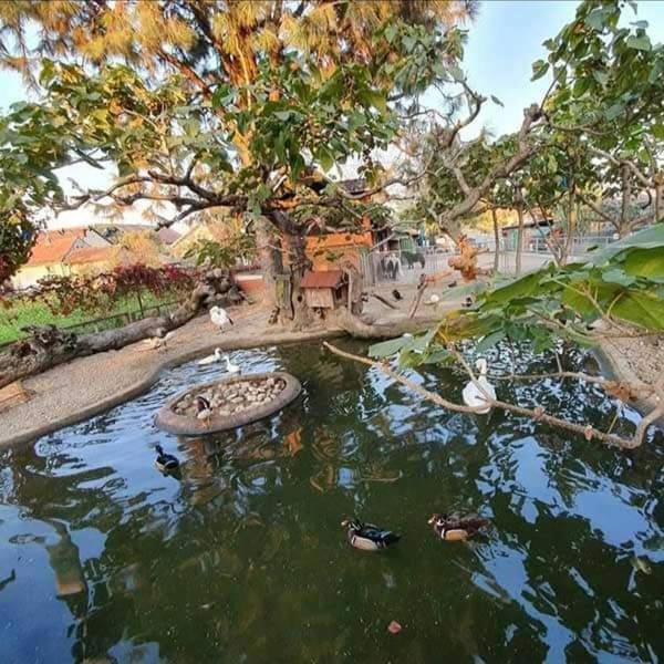 Apartman Normanci Near Bizovac Thermal Spa Exterior photo